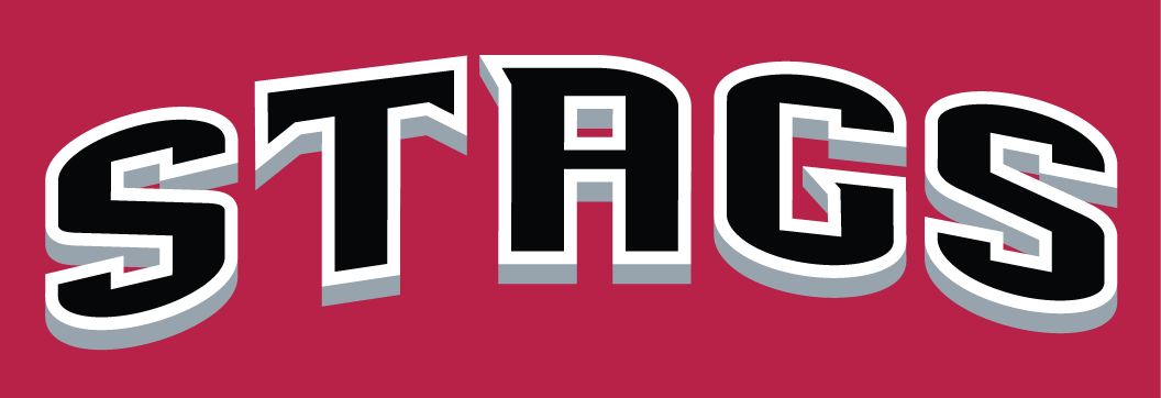 Fairfield Stags 2002-Pres Wordmark Logo v3 diy iron on heat transfer